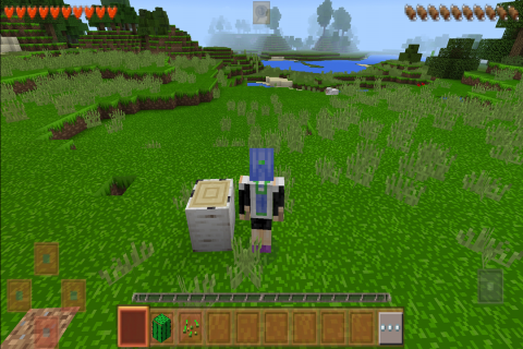 生存战争2.4中文版截图1