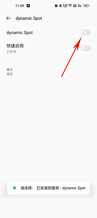 Dynamicspot最新版