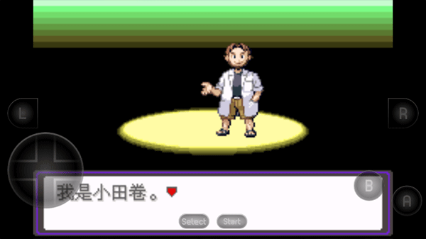 口袋妖怪漆黑的魅影9.0版截图0