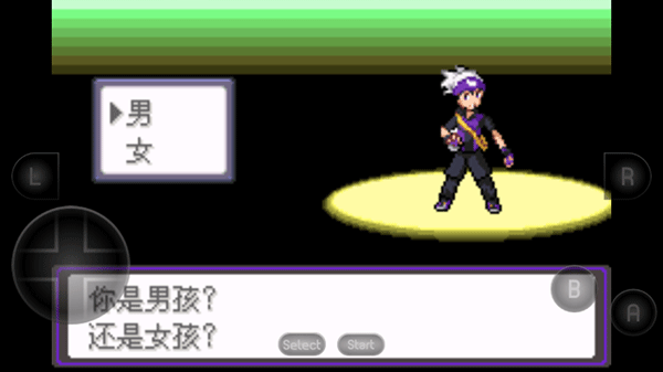 口袋妖怪漆黑的魅影9.0版截图1