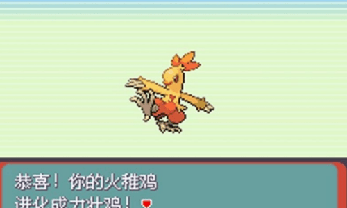 口袋妖怪究极绿宝石小智版