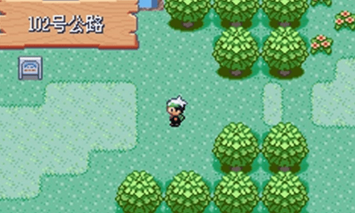 口袋妖怪绿宝石汉化版