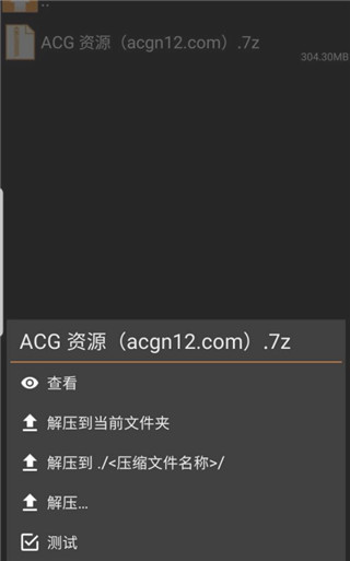 Zarchiverpro手机版