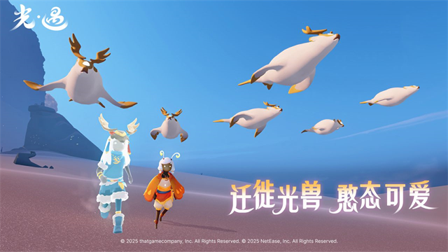 光遇oppo渠道服截图2