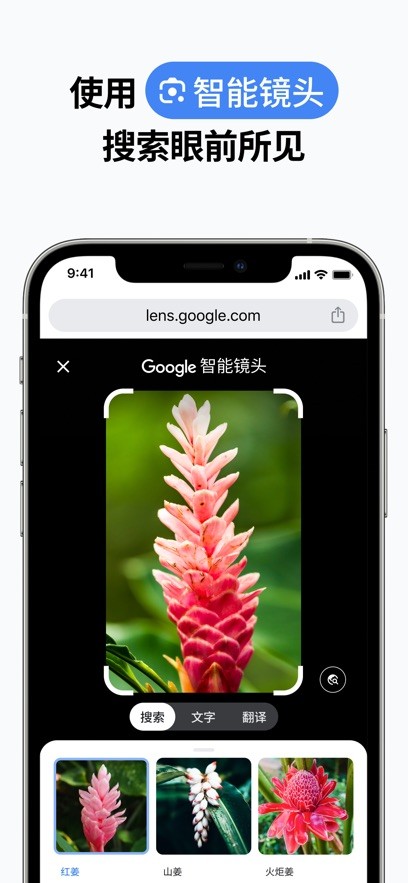 Chrome浏览器截图0