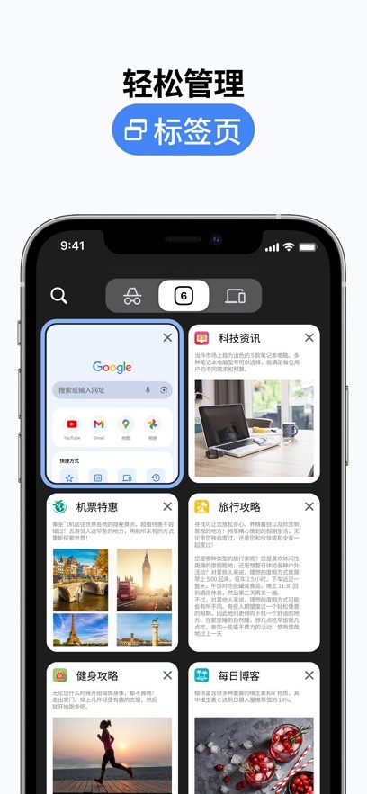 Chrome浏览器截图3