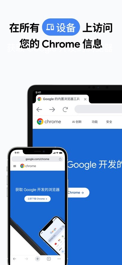 Chrome浏览器截图4