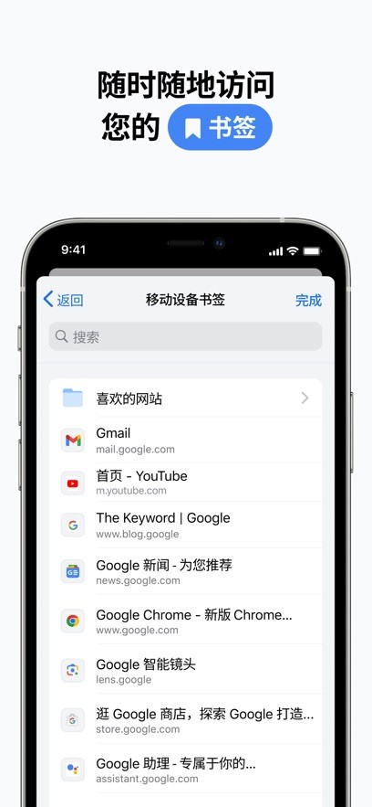 Chrome浏览器截图7
