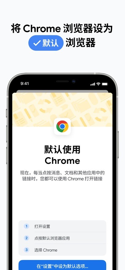 Chrome浏览器截图8