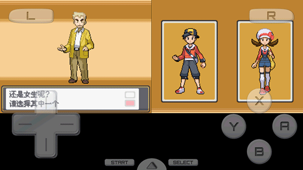 口袋妖怪心金安卓版