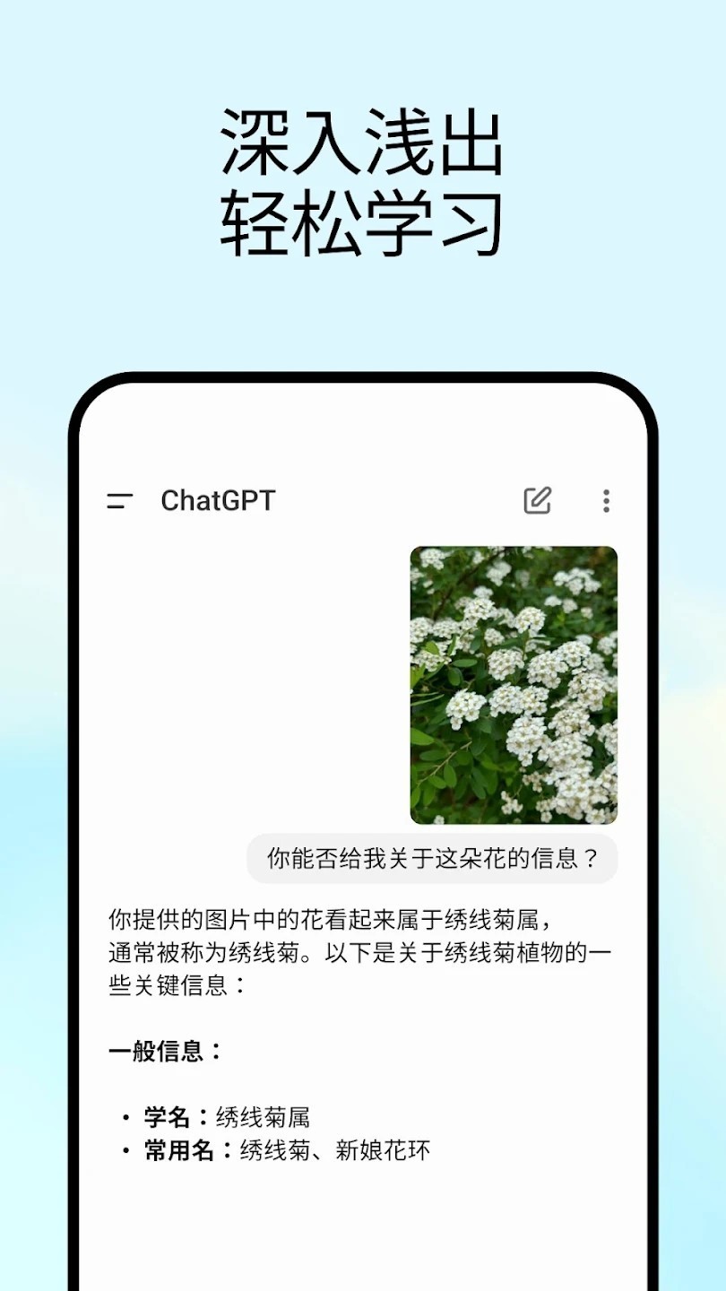 ChatGPT国内版截图2