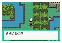 口袋妖怪漆黑的魅影中文版