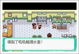 口袋妖怪漆黑的魅影中文版