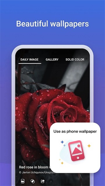 必应搜索引擎截图0
