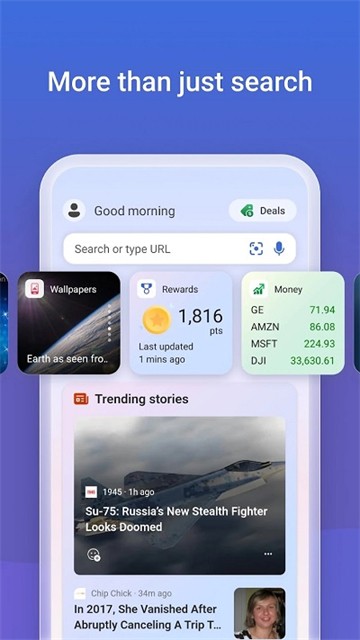 必应搜索引擎截图1