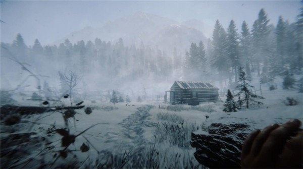 森林之子手机版截图1