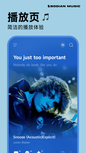 波点音乐车机版
