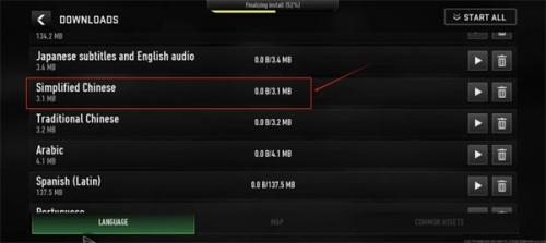 使命召唤国际服