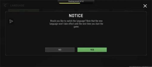 使命召唤国际服