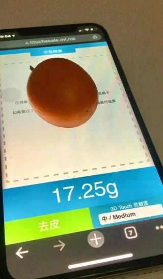 Touchscale称重软件截图2