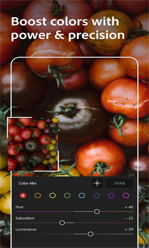 LightRoom手机安卓版