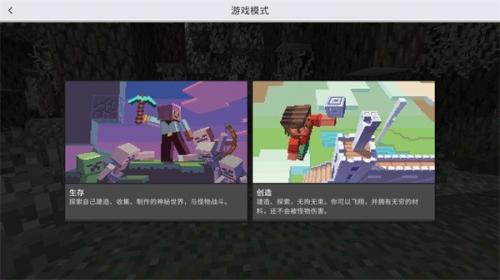 我的世界基岩版1.21