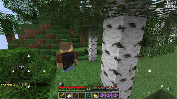 我的世界烦人的村民6.0截图1