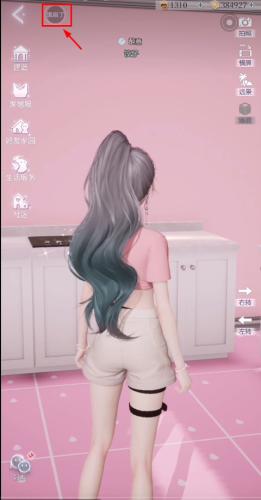 以闪亮之名国服