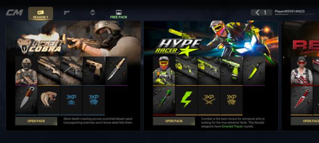 战斗大师国际服