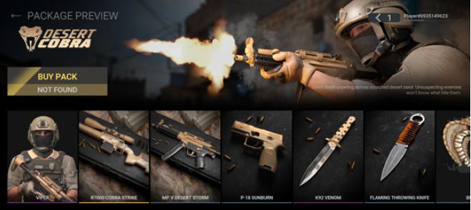 战斗大师国际服