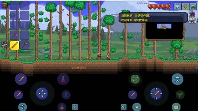 泰拉瑞亚皮皮蛙汉化版