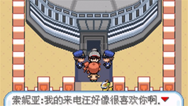 精灵宝可梦剑盾截图2