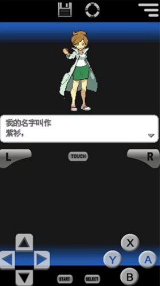 口袋妖怪黑白中文版