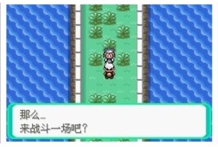 口袋妖怪漆黑的魅影6.0最新版