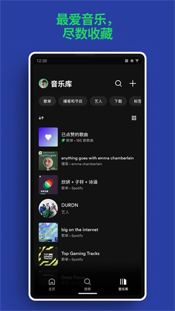 声破天Spotify截图3