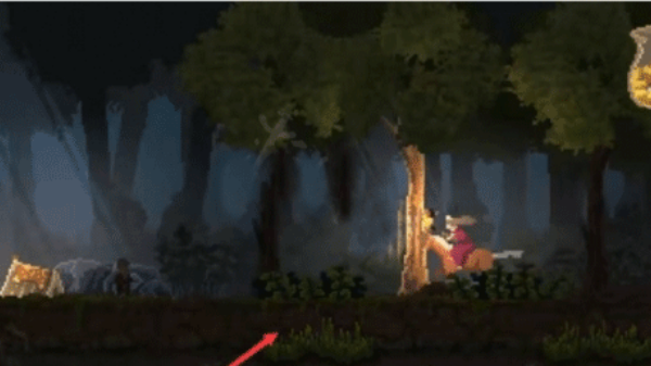 王国新大陆中文版