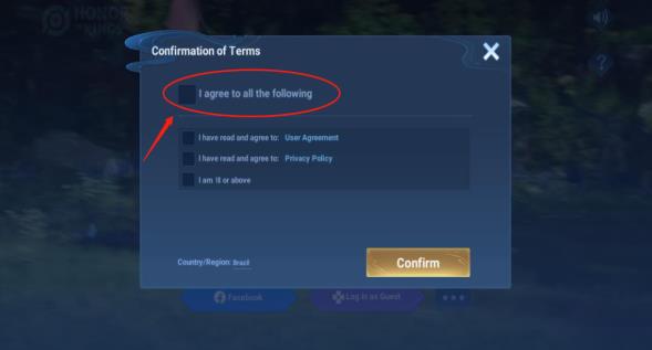 Honor of Kings国际服