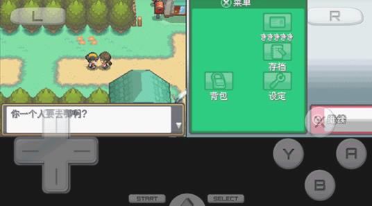 口袋妖怪起源心金小智版