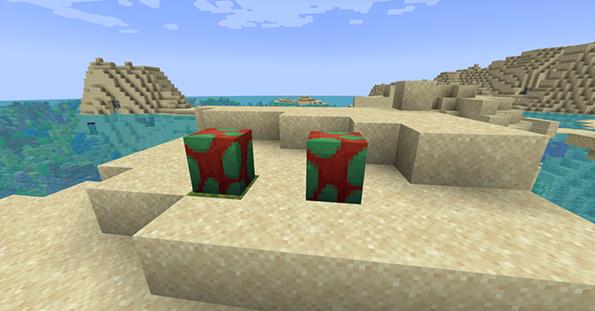 我的世界基岩版