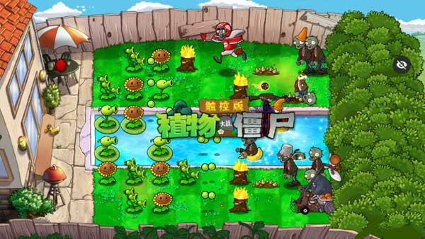 植物大战僵尸随机模仿者版截图2