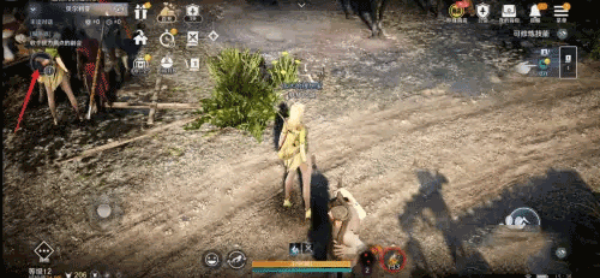 黑色沙漠国际服