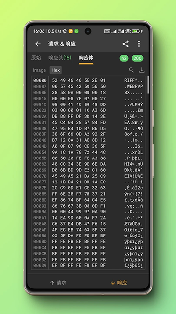 小黄鸟抓包软件截图2