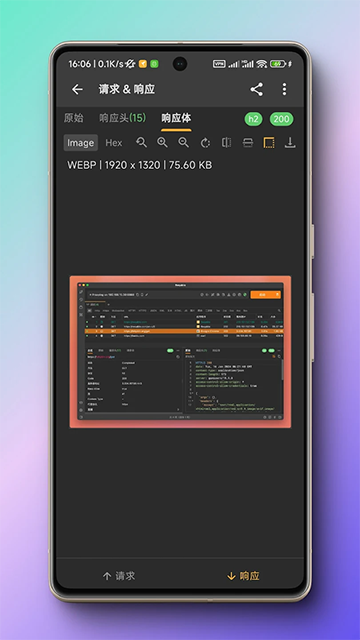 小黄鸟抓包软件截图4