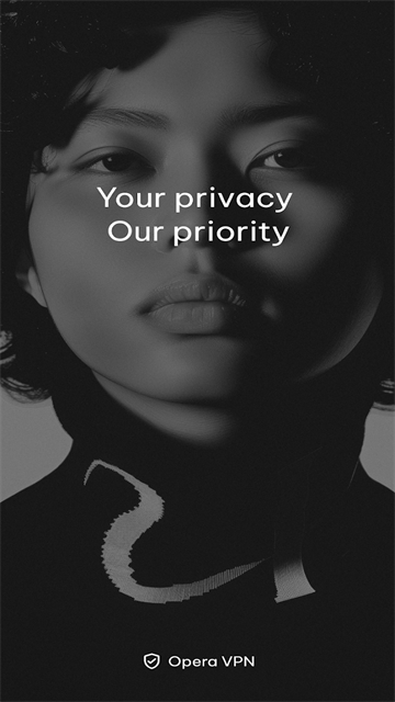 欧朋浏览器国际版截图4