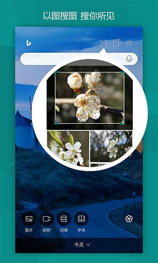 必应国际版截图0