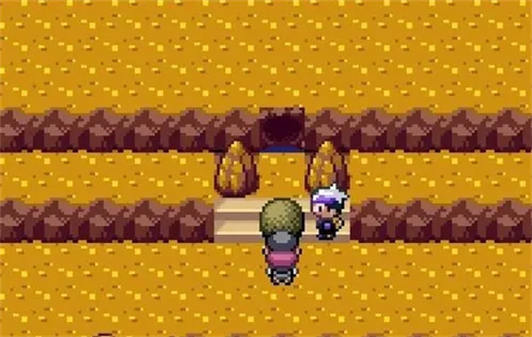 口袋妖怪漆黑的魅影6.0