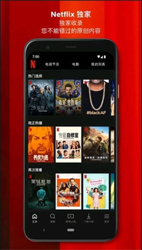 Netflix截图2