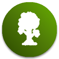 泰拉瑞亚灾厄模组版