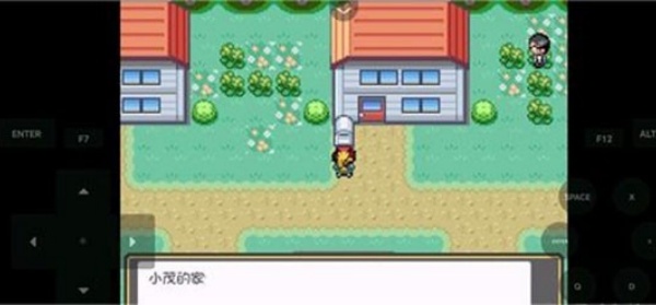 口袋妖怪燃之智汉化版