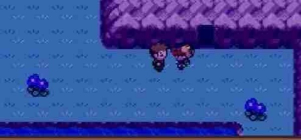 口袋妖怪燃之智汉化版